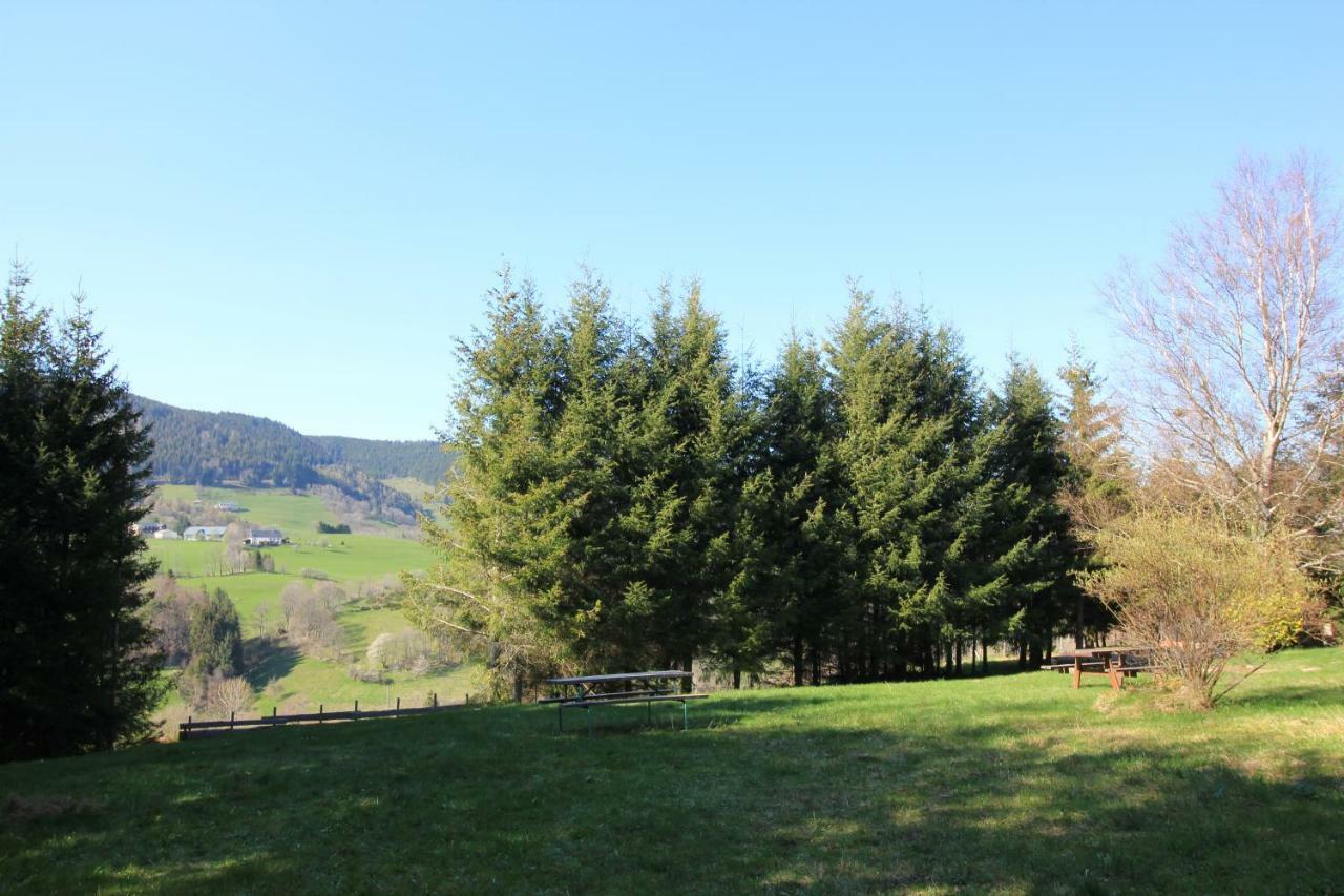 Apartment Les Jonquilles Le Bonhomme